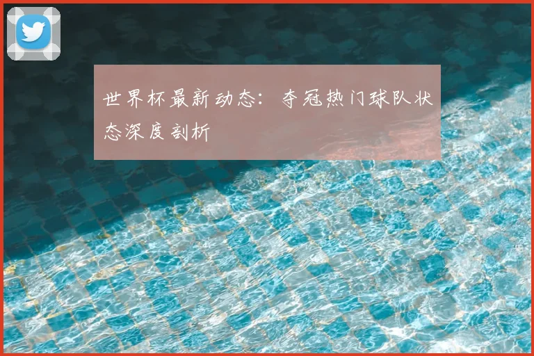 世界杯最新动态:夺冠热门球队状态深度剖析