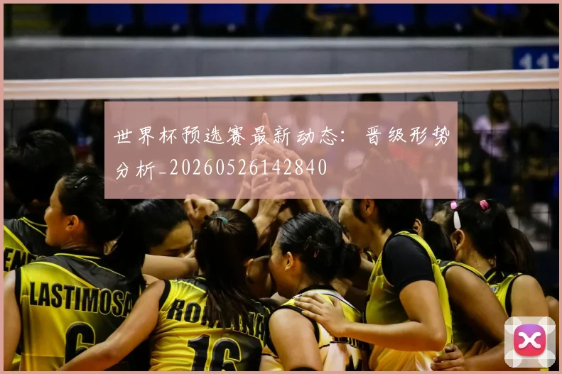 世界杯预选赛最新动态：晋级形势分析_20260526142840