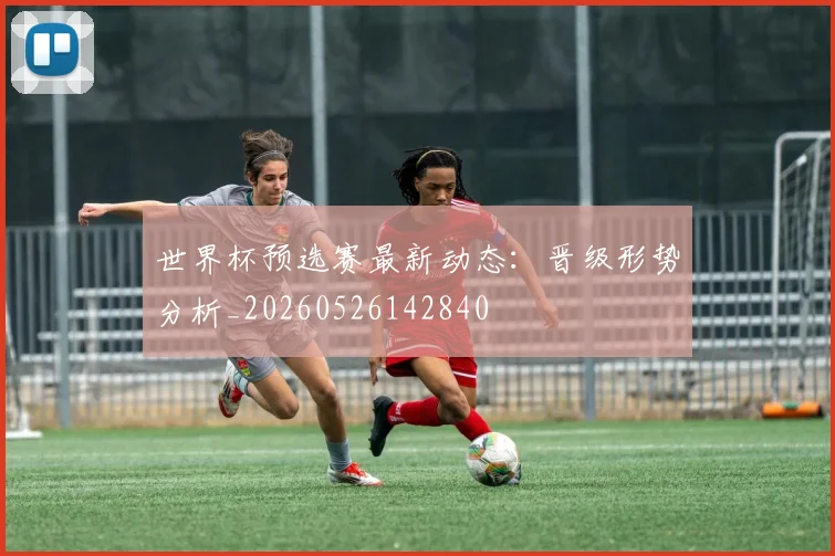 世界杯预选赛最新动态：晋级形势分析_20260526142840